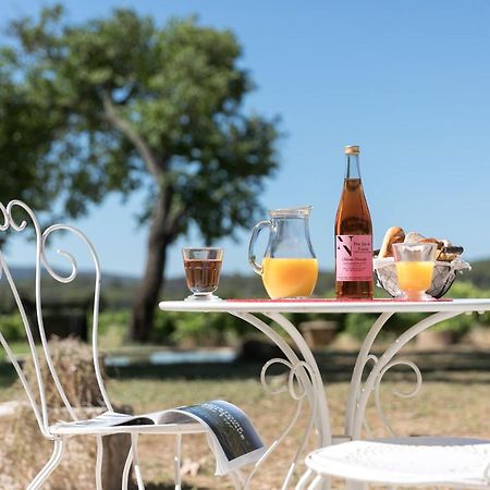 Chateau Nestuby Cotignac Eksteriør bilde