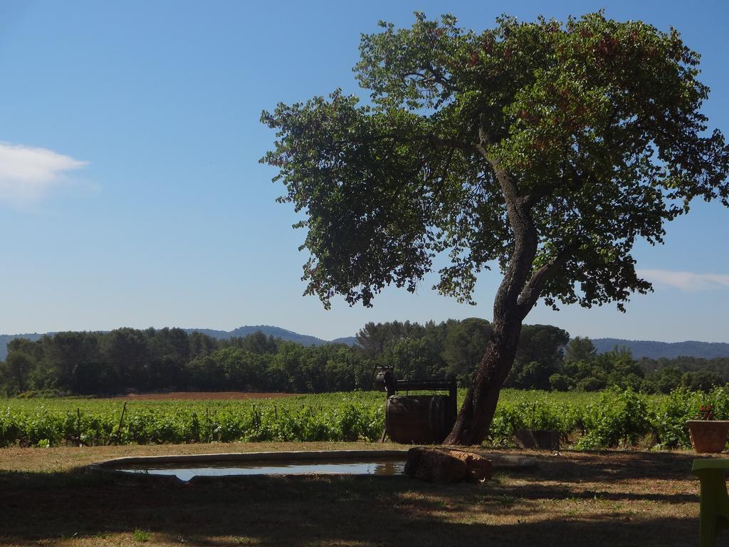 Chateau Nestuby Cotignac Eksteriør bilde