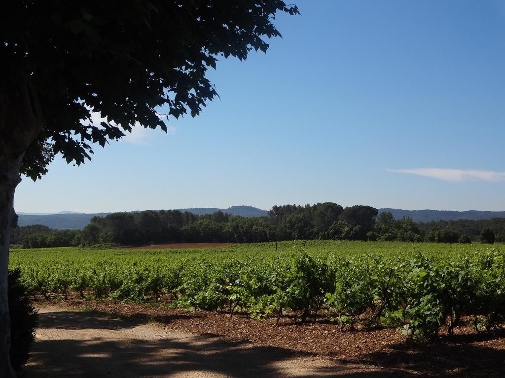 Chateau Nestuby Cotignac Eksteriør bilde